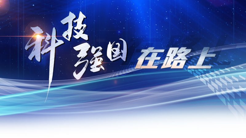 政务云服务招标评分标准：如何科学评估与选择